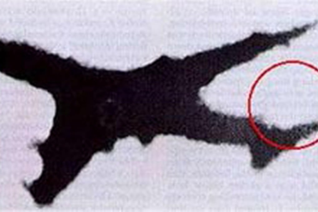 A distant photo of Flight 123, taken as it neared disaster, shows almost the entire upright tail section missing. Photo: Wikipedia