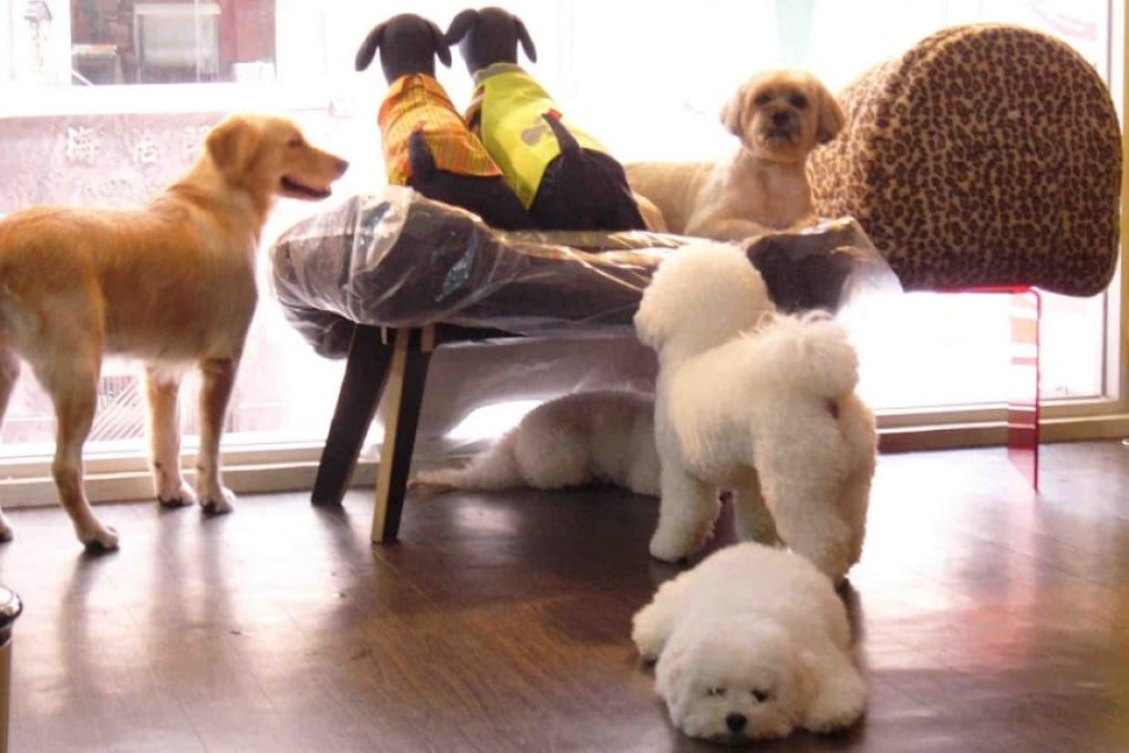 Some of Ricky the pet's "customers". Photo: Courtesy of Ricky the Pet