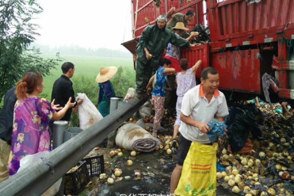 Villagers near Chengdu formed a well-organised working bee when 20 tonnes of pears spilled on the highway near their village on Wednesday. Photo: Huaxi100.com