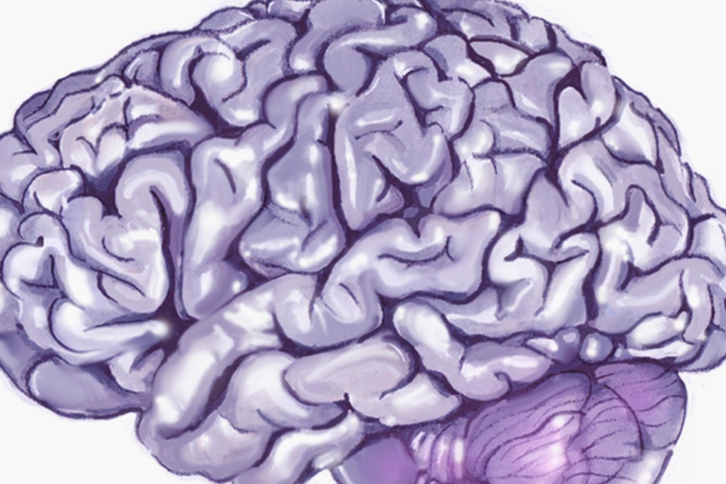 Researchers say a tiny brain could be used to test drugs and study diseases, but scientific peers urge caution as data on breakthrough kept under wraps. Photo: SCMP Pictures