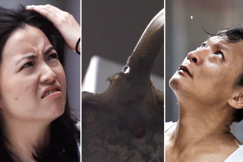 Stills from the video used to launch the community appeal. Photos: SCMP Pictures