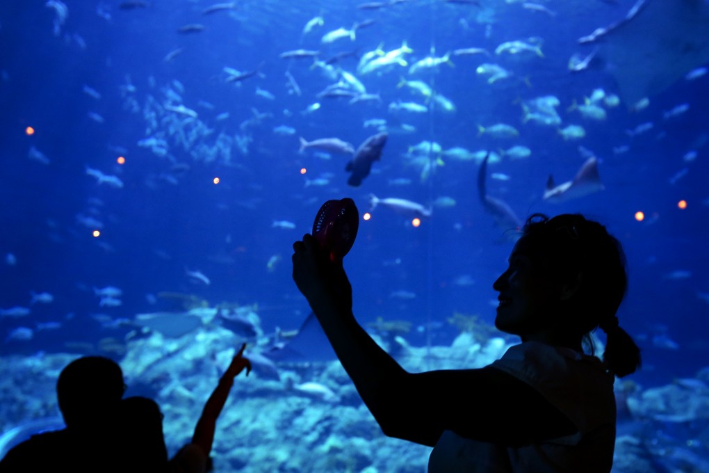 Ocean Park’s Wi-fi network will not be up and running until later this year. Photo: Felix Wong