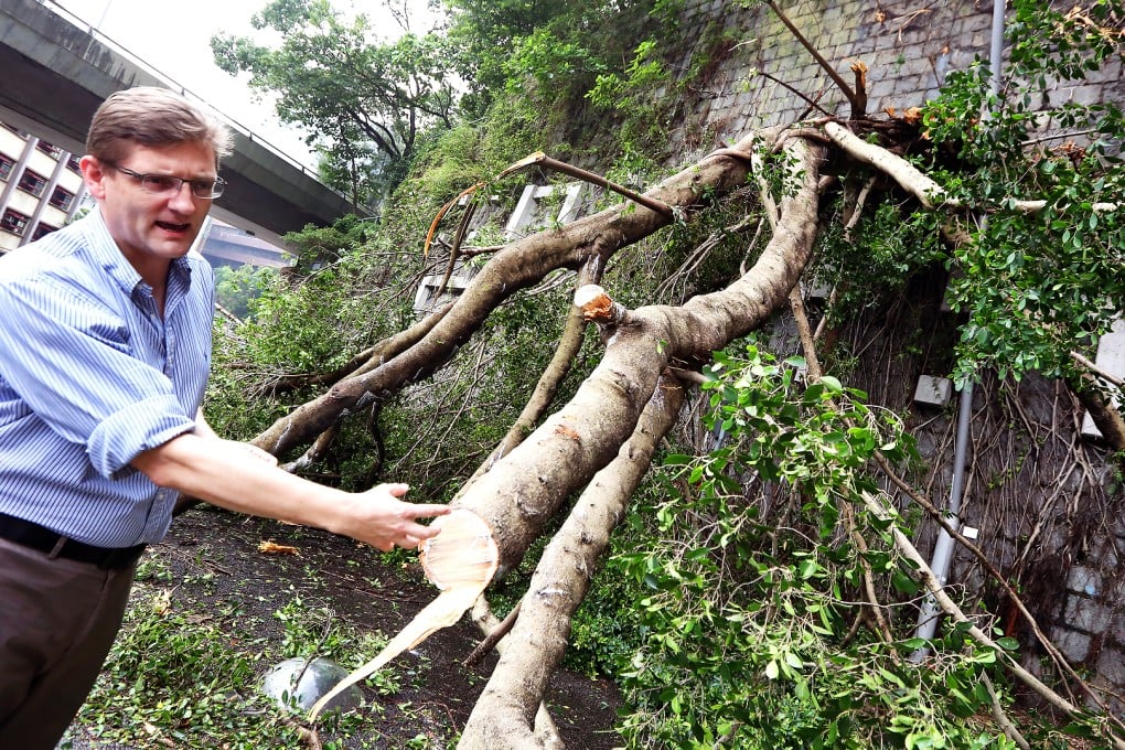 Matthew Pryor, Head of the Division of Landscape Architecture and an Assistant Professor within HKU's Faculty of Architecture, investigates the tree crashed down onto Pok Fu Lam Road. Photo: Nora Tam