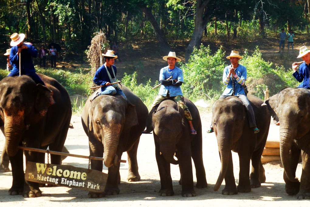 Thai elephant goes berserk killing keeper and running off with 3