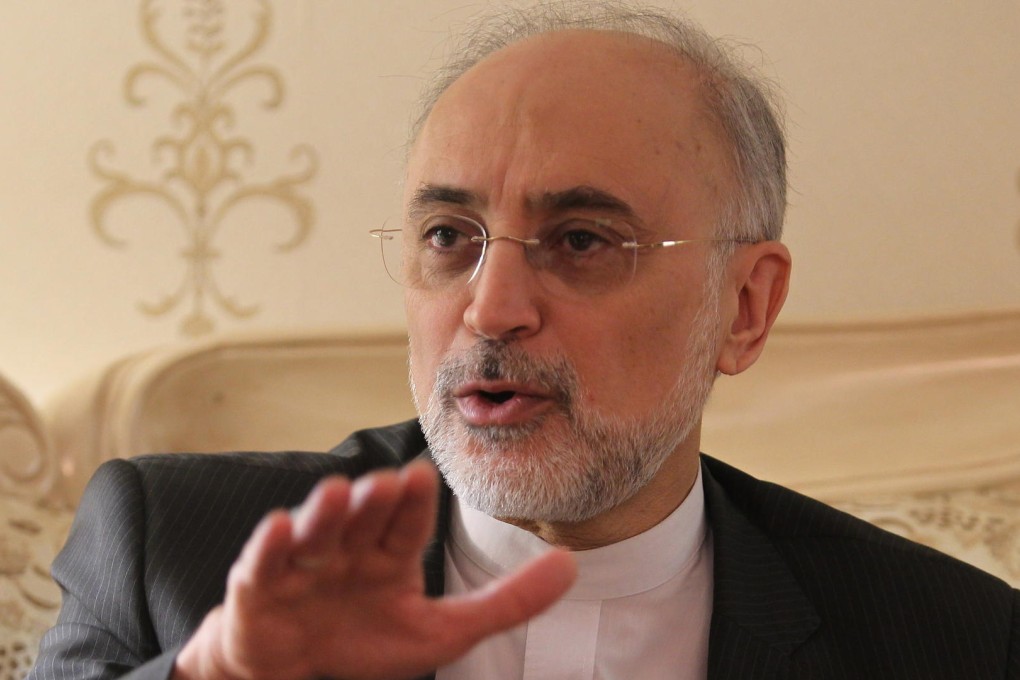 Iran's Ali Akbar Salehi speaks during a meeting in Beijing on Friday. Photo: Simon Song