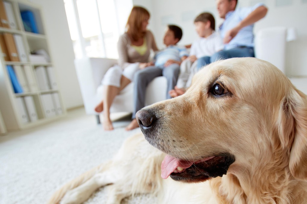 There are valuable lessons to learn from the death of a pet.