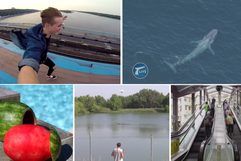 Top 5 videos of the week
