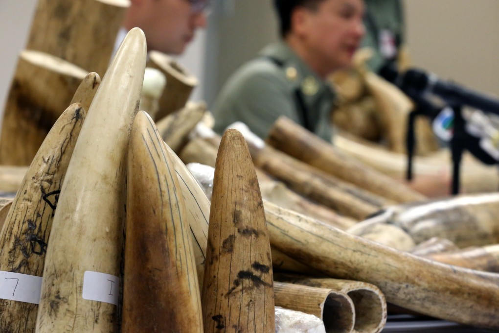 Hong Kong urged to buy new carbon-dating technology to hit ivory ...