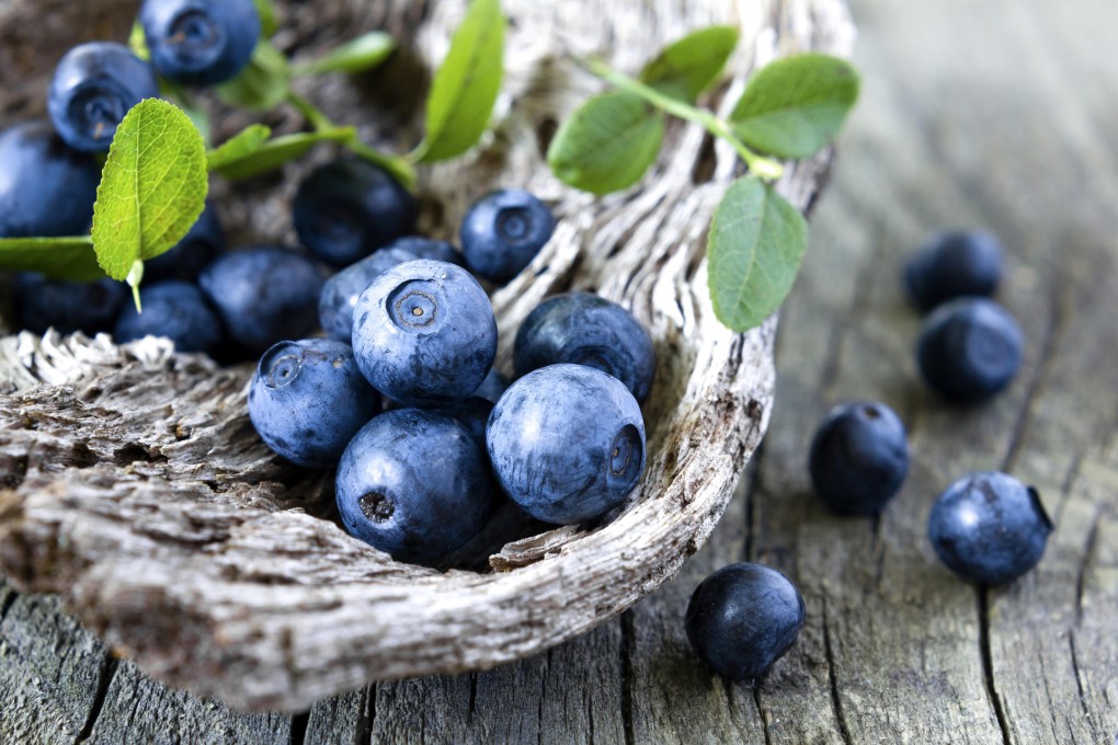 Another reason to eat blueberries: they may fight gum disease