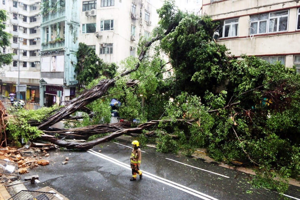 Bonham Road in Mid-Levels in July after a storm caused a tree to topple, injuring two people and sending them to hospital. Photo: Nora Tam