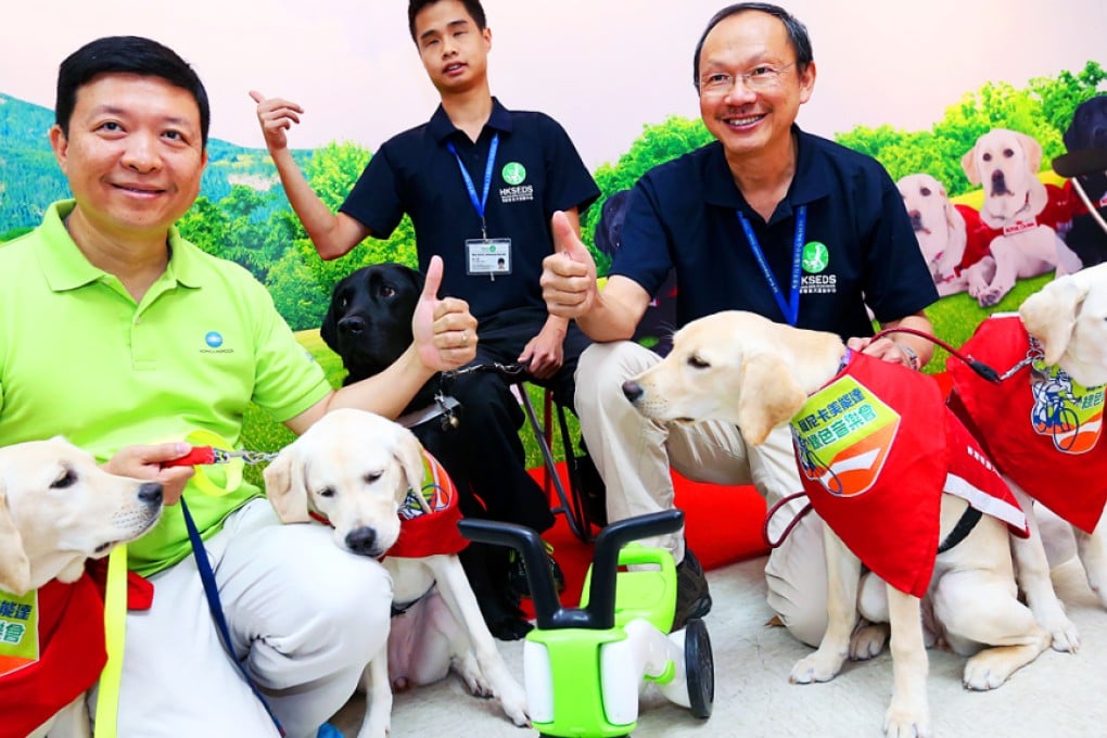 (From left) Konica Minolta Director Robert Ip Cheuk-hung, Andy Chui Man-chun and Director of HK Seeing Eye Dog Service Raymond Cheung Wai-man meet the press with the first successful batch of locally bred guide dogs for the visually-impaired, at the Seeing Eye Dog Services in Kwai Chung. Photo: K.Y. Cheng