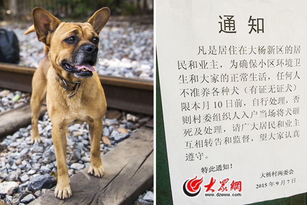 Dogs owners said the committee had no legal right to enforce a ban on the pets. Photo: Dzwww.com