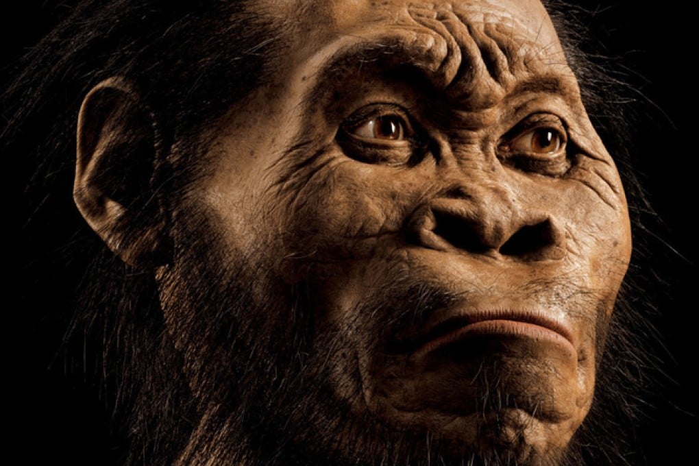 Meet ‘homo naledi’: new human species discovered from South African cave fossils