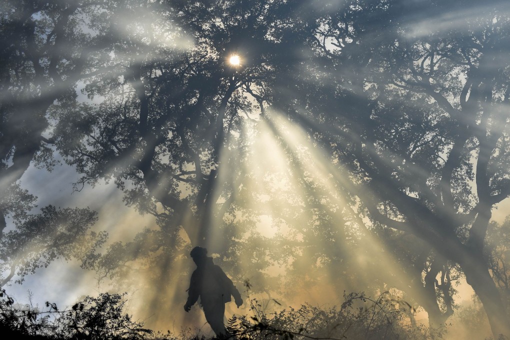 A Spanish firefighter walks through smoke near Cadiz during a summer outbreak of forest fires that some experts linked to climate change. Photo: AFP