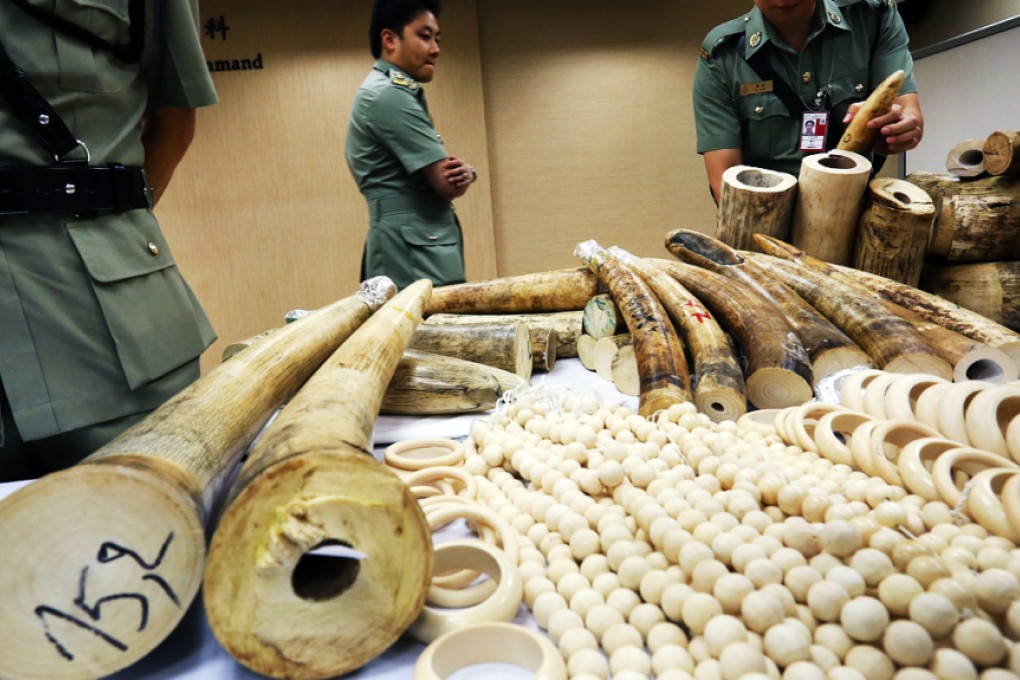 The public needs to know that the illicit ivory trade is not just a conservation issue. Photo: Nora Tam