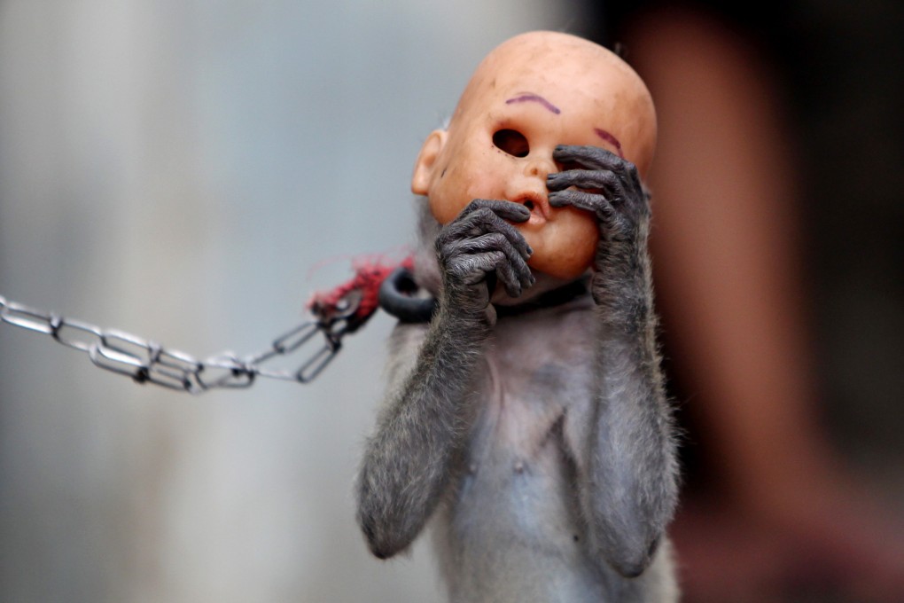 Transplanting organs from one species onto another is known as a xenograft. The Chinese team used monkeys and mice, but said the same procedure could one day be used with people to produce healthy human sperm if the subject knew he was going to die before reaching sexual maturity. Photo: AP