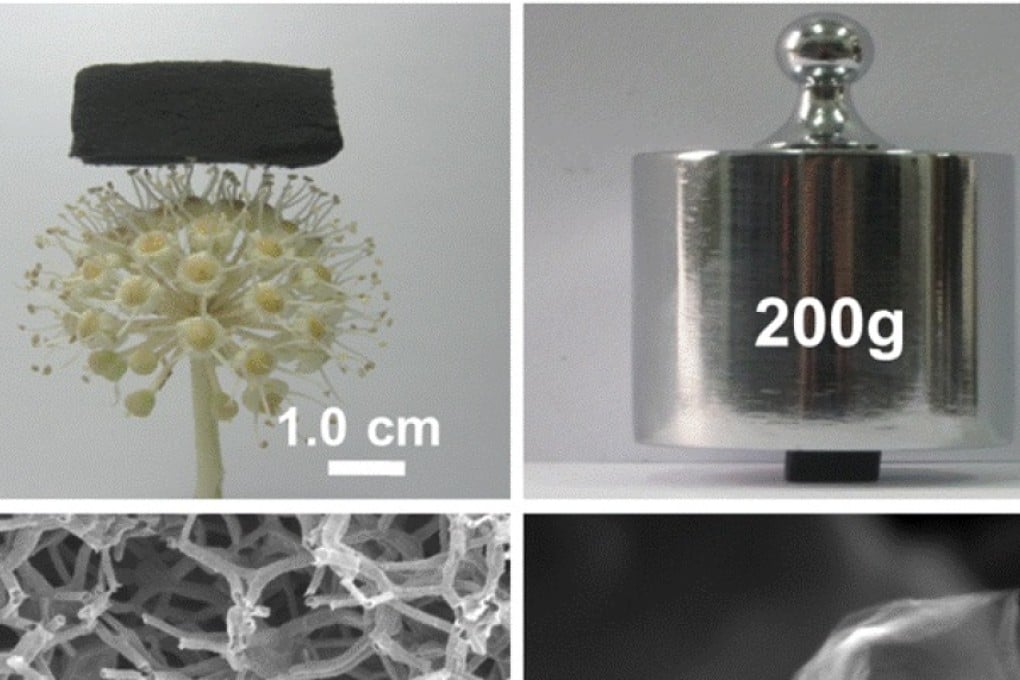 Chinese scientists say the new material can support something that is 40,000 times its own weight without bending, Photos: Chinese Academy of Sciences