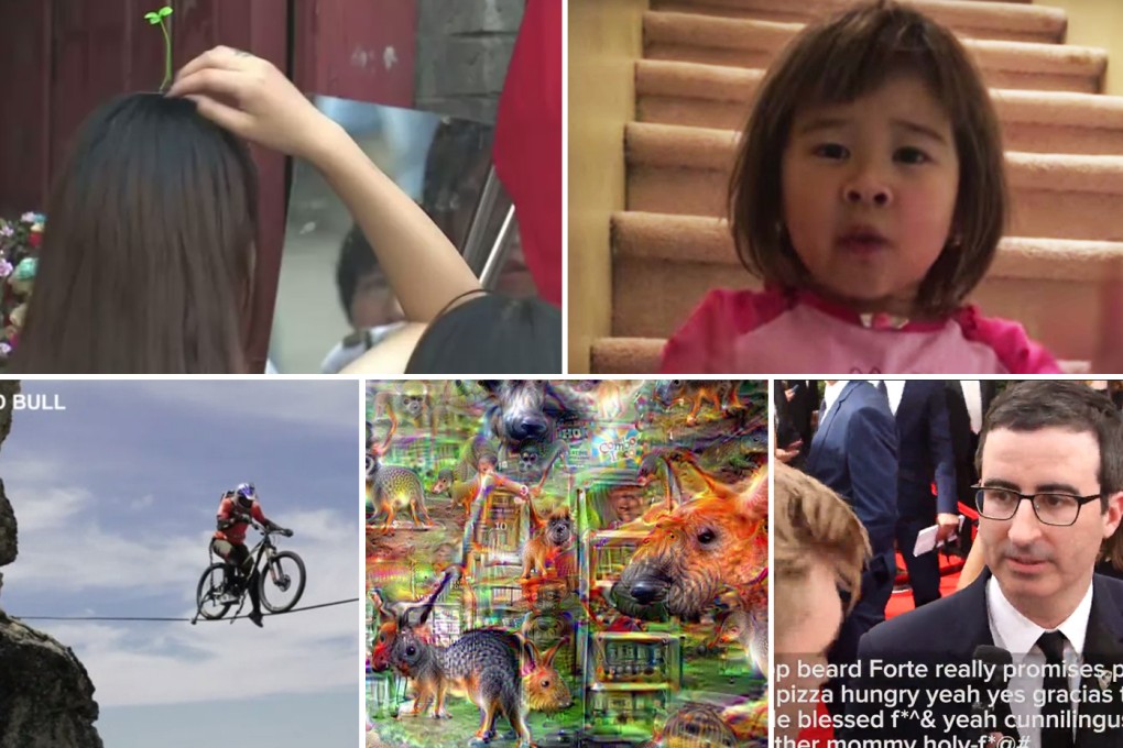 Top 5 videos of the week: From fashionable plastic greenery headwear in Beijing to slackline biking in the Alps, and more