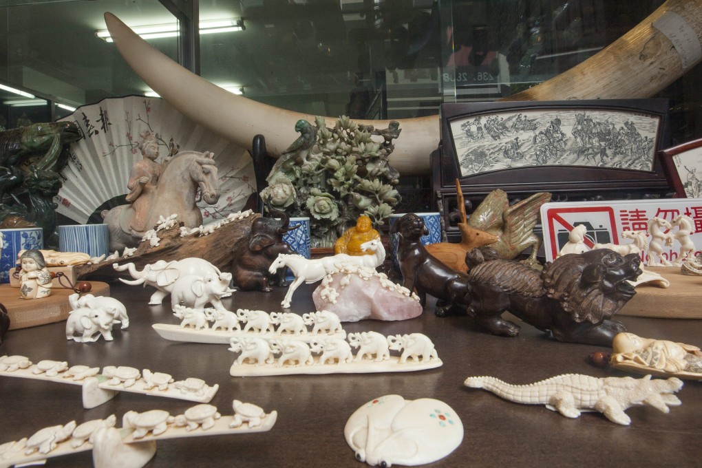 A raw elephant ivory tusk and trinkets made out of ivory are seen for sale in a shop on Hollywood Road, Central. Photo: EPA