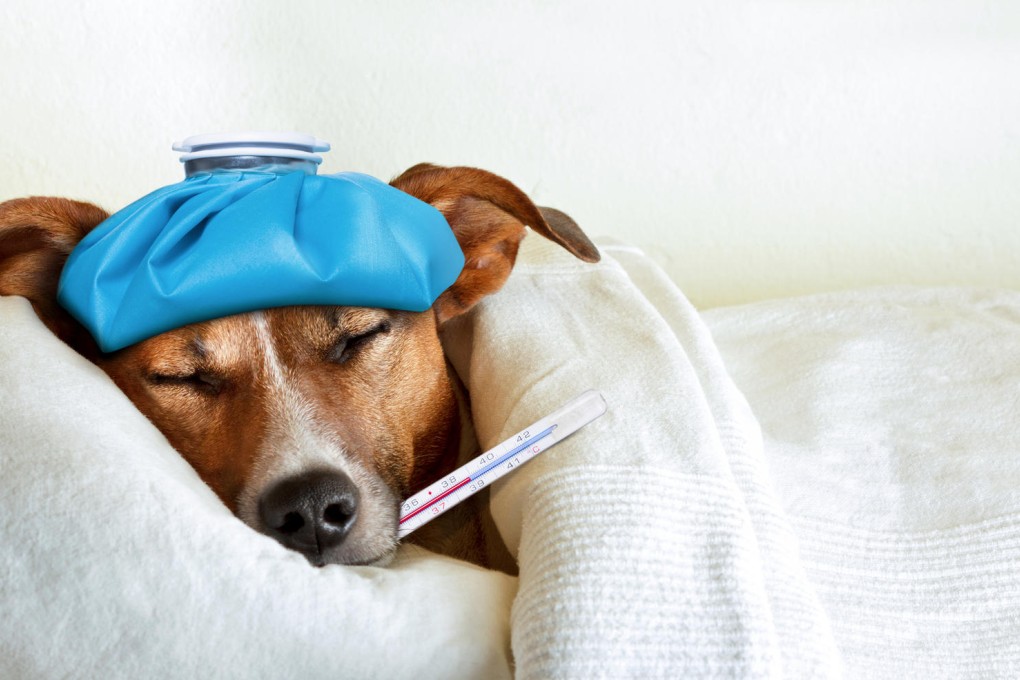 Not all illnesses require urgent attention. Photos: Thinkstock