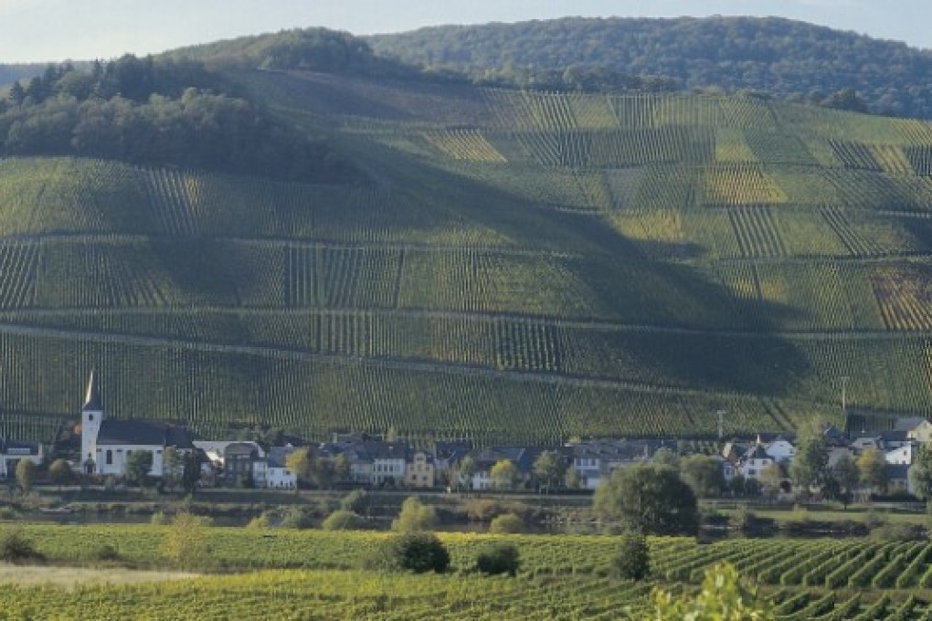 Germany's Moselle Valley is one of riesling's heartlands.