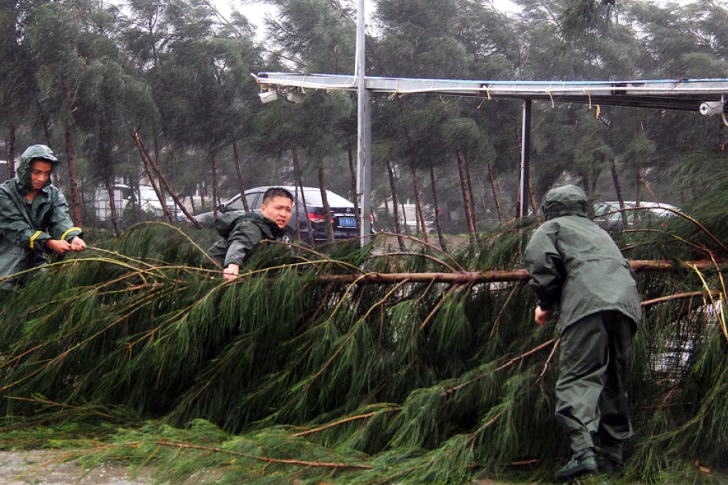 People try to remove a bough from a street as Typhoon Mujigae hits Maoming, Guangdong. Photo: Reuters