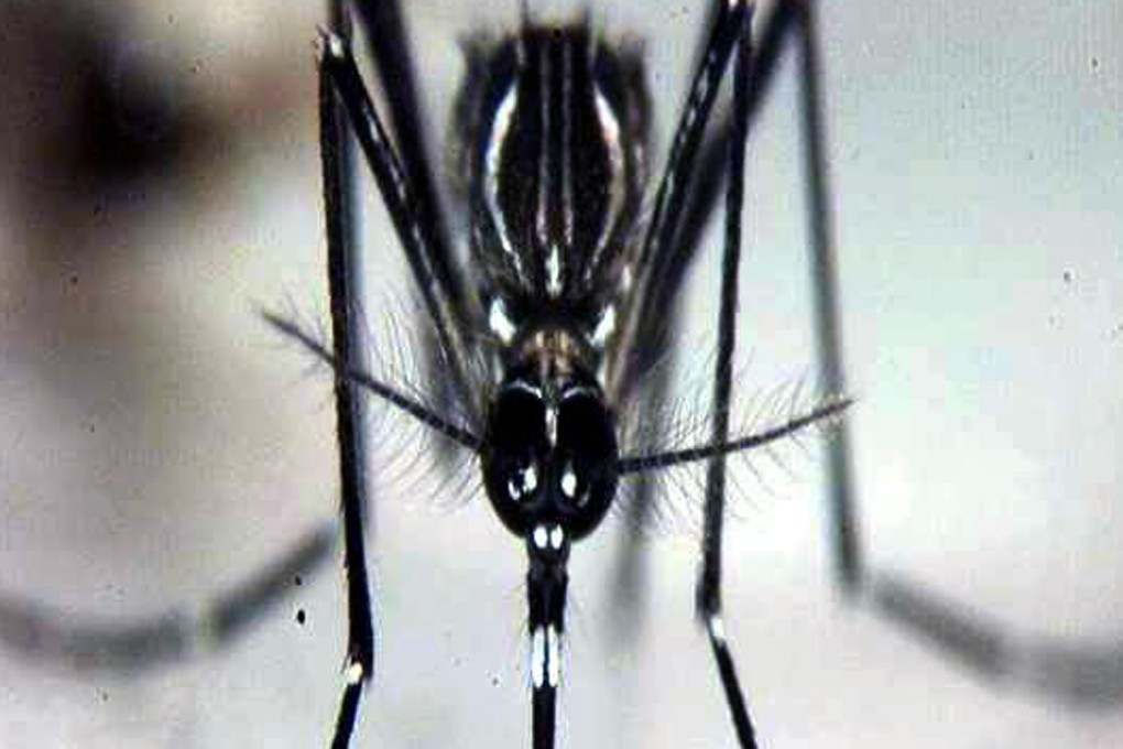 Dengue fever in Taiwan rises 35pc this year as cases exceed 20,000