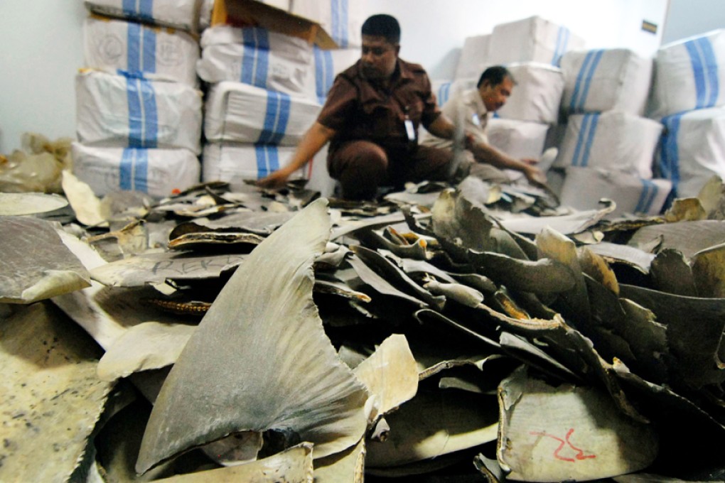 Indonesian customs and quarantine officers inspecting some 3,000 pieces of sharks fin seized at the Soekarno-Hatta airport, intended for shipment to Hong Kong. Photo: AFP