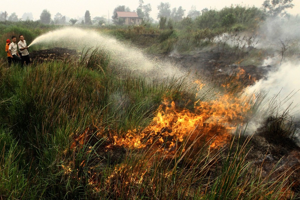 Indonesia had repeatedly declined offers of help from overseas to tackle the smoke, the main cause of which is companies using fire to clear land for palm oil and pulp wood plantations. Photo: AFP