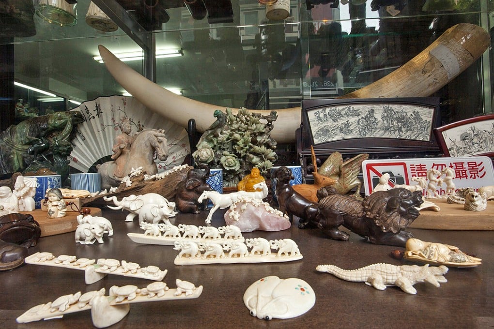 A raw elephant ivory tusk and trinkets made out of ivory are seen for sale in a shop on Hollywood Road, Central, Hong Kong. Photo: EPA
