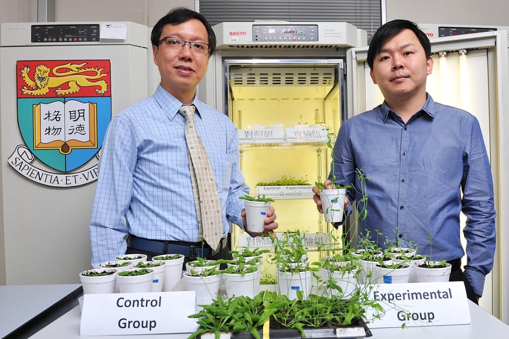 Dr Wallace Lim (left) and his former student Dr Law Yee-song have discovered a new way to boost plant growth to help curb food shortages. Photo: SCMP