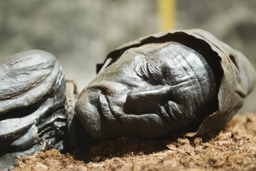 Tollund Man, murdered in Jutland more than 2,300 years ago. Photo: Corbis