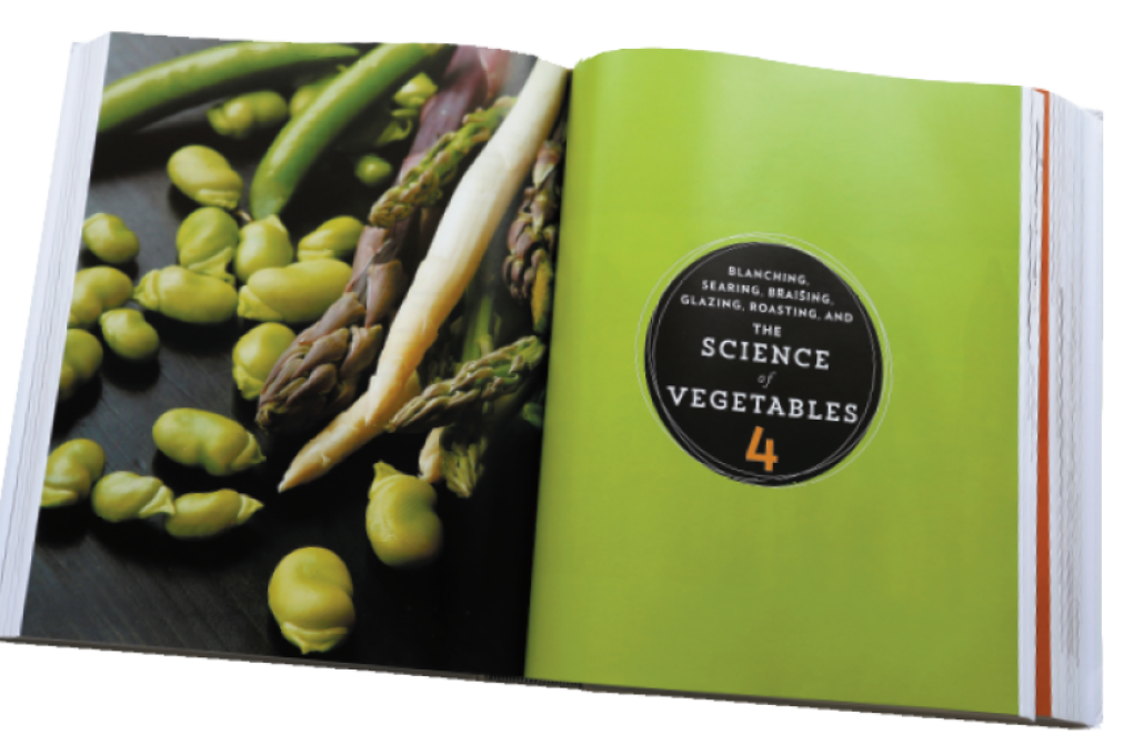 Is J. Kenji Lopez-Alt's hotly anticipated book The Food Lab worth it?