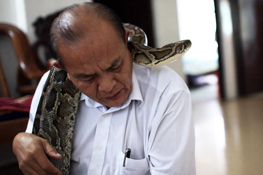 "Uncle Min" with his python on Hainan island. Photos: SCMP Pictures