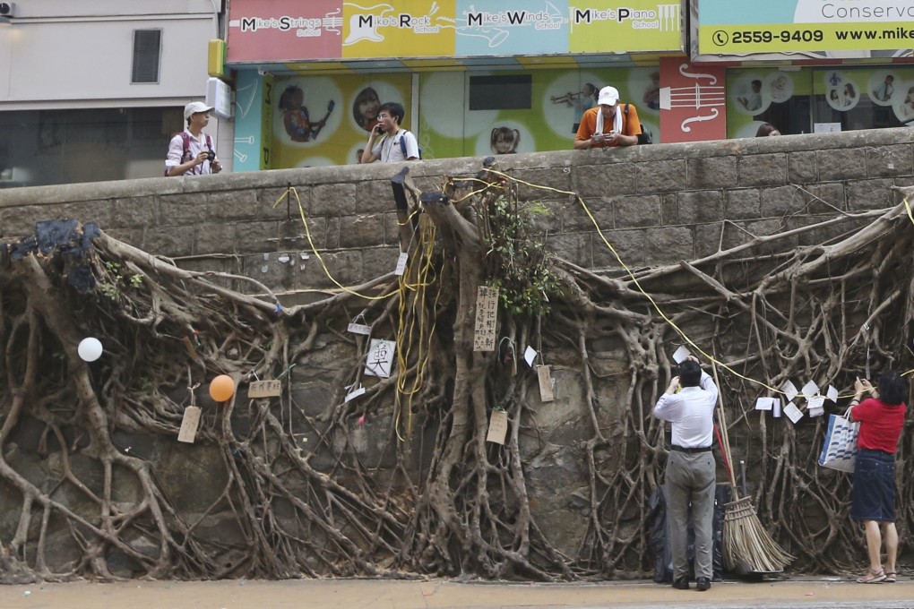Balloons and messages were tied to the roots of four banyan trees in Bonham Road after the trees were suddenly chopped down. Photos: Sam Tsang, Bruce Yan, Jonathan Wong, Edmond So, Nora Tam