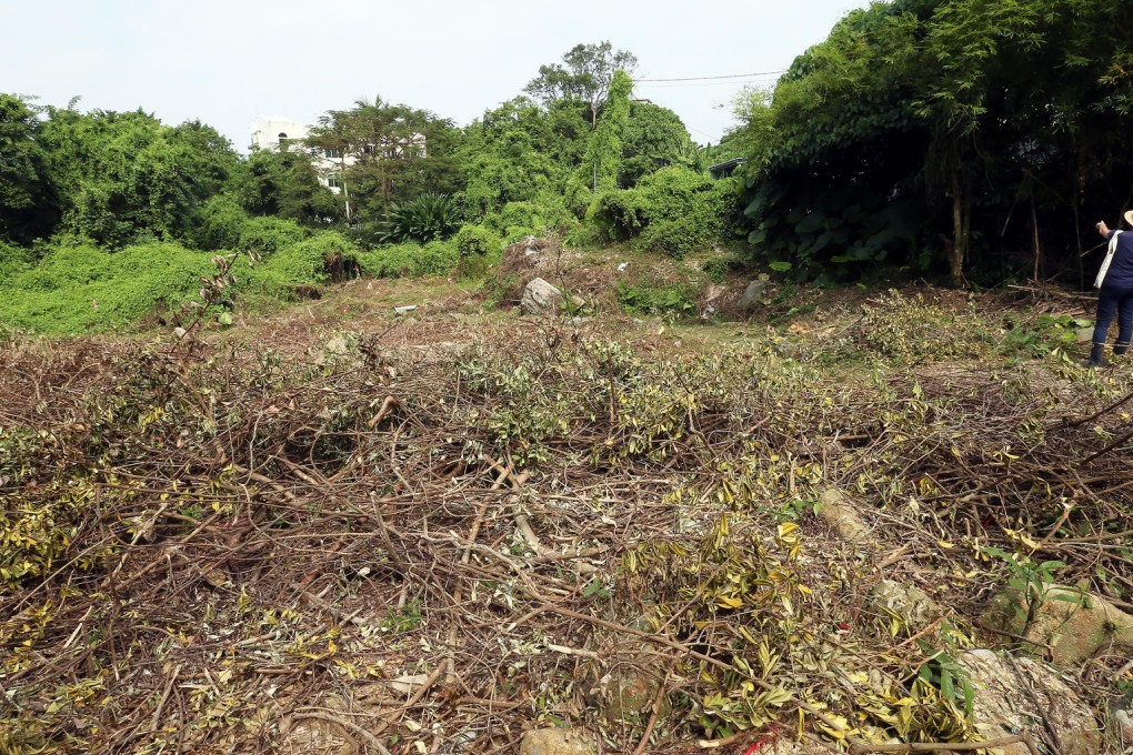 An area of Hoi Ha has now been cleared. Photo: K. Y. Cheng