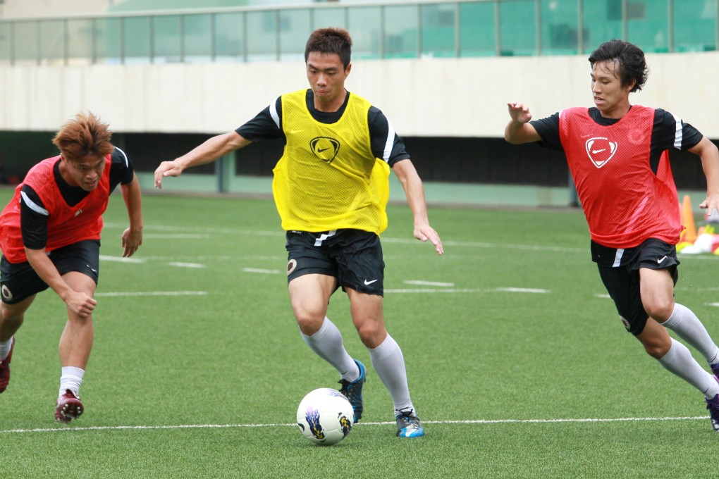 Tseung Kwan O could see three natural turf pitches and three artificial turf pitches in future. Photo: May Tse