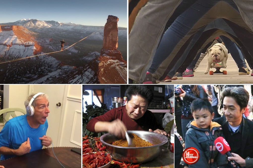 Top 5 videos of the week: from a skateboarding bulldog to a Chinese man who eats two kilos of chillies a day