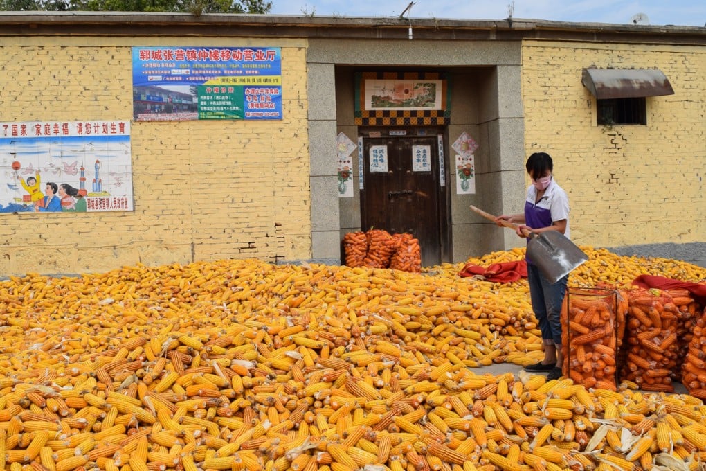 The courtyard of Peng Liyuan’s childhood home, in Peng village, Shandong province, is now used to process corn. Photos: Hazel Knowles; Reuters; AFP; Xinhua; Corbis