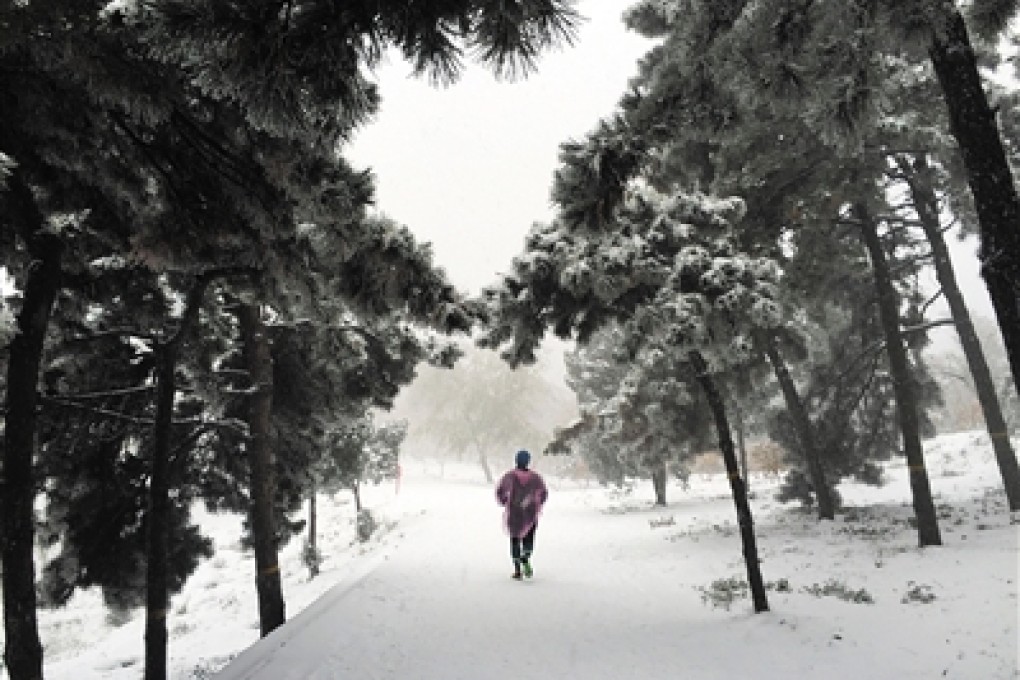 A jogger enjoys the deep snow in the capital. Photo: Sina.com