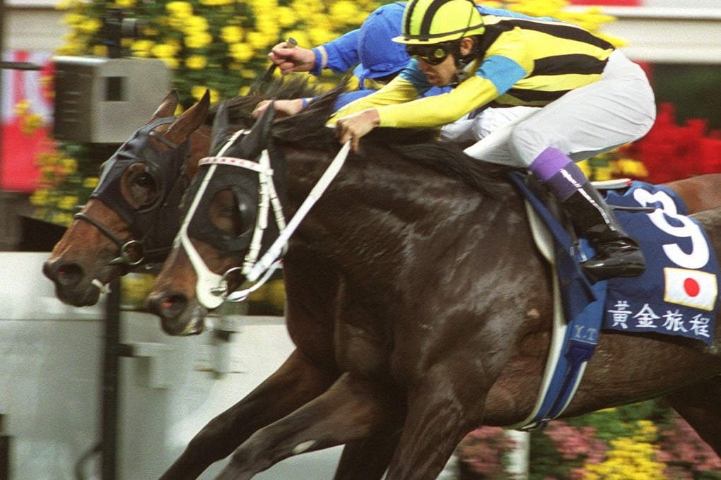 Stay Gold just gets up in the final stride to nab Ekraar in the Hong Kong Vase. Photo: SCMP Pictures
