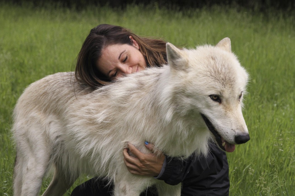 The writer snuggles John at Parc Mahikan, in the Saguenay-Lac-St-Jean region of Quebec, in Canada. Photos: Jennifer Smith Nelson; Corbis