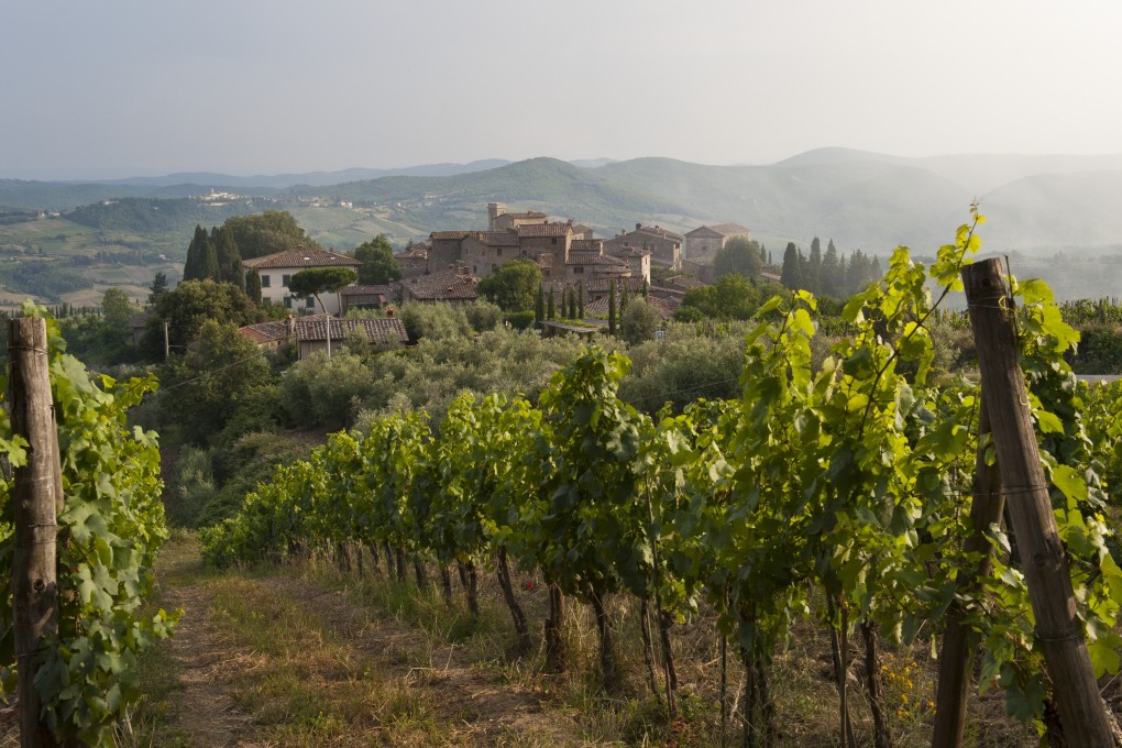 Faced with falling quality, winegrowers used grapes not authorised for chianti, such as cuttings from Bordeaux, to improve their product, and soon won over the international wine press. The "super Tuscans" were born.