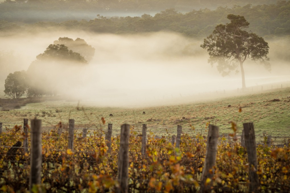 Wine tasting: Voyager Estate - the cream of Margaret River