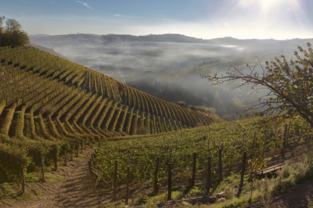 The Sottimano winery in Italy's Piemonte region.