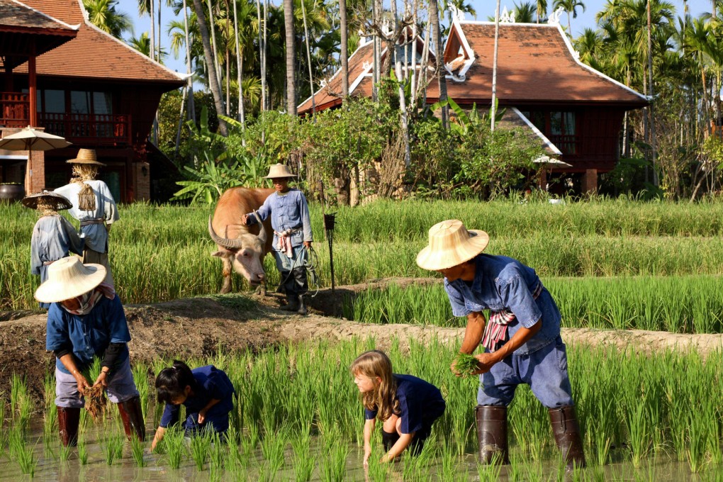 1956 road trip that gave birth to the hippie trail remembered