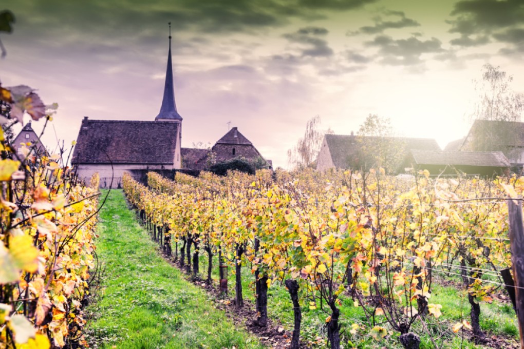 All about Alsace wines - grapes, oak, names and what makes them special