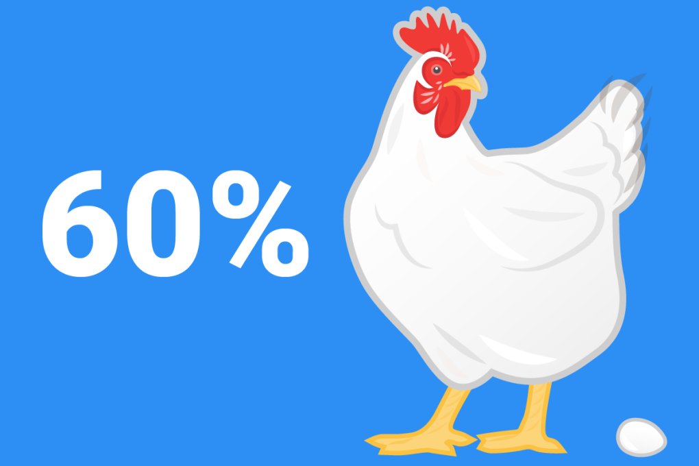 Sixty per cent of chicken genes have a human gene counterpart according to the International Chicken Genome Sequencing Consortium. Photo: Business Insider