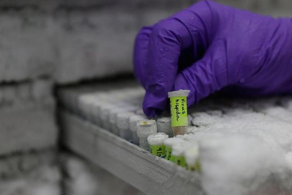 The 'State of the World's Plants' report took more than a year to produce and had the input of over 80 scientists. Photo: Daniel Leal-Olivas/AFP/Getty Images