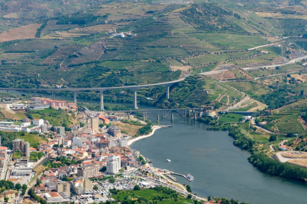 Terraced vineyards in Douro Valley.